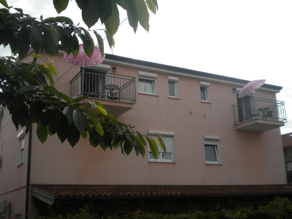 Apartments Miani Novigrad Istria Buitenkant foto