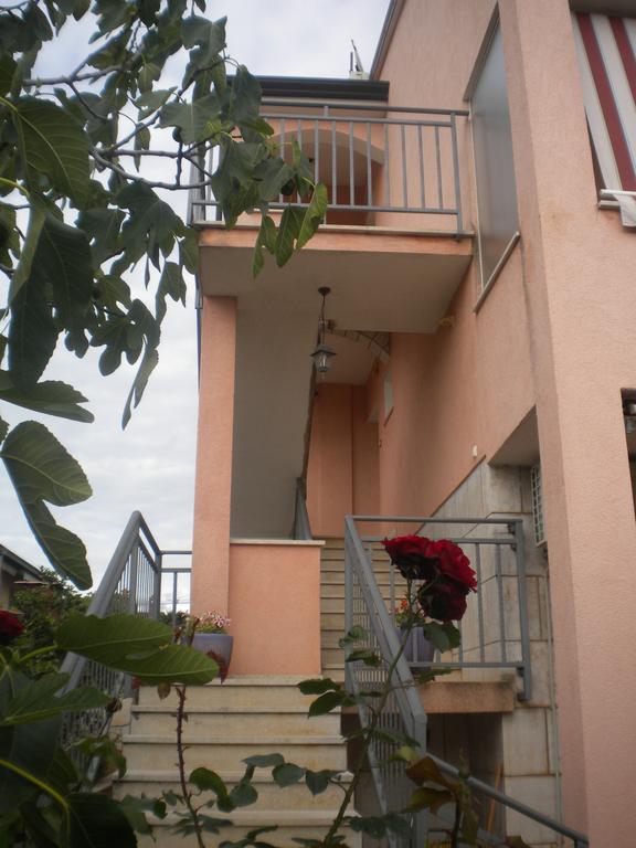 Apartments Miani Novigrad Istria Buitenkant foto