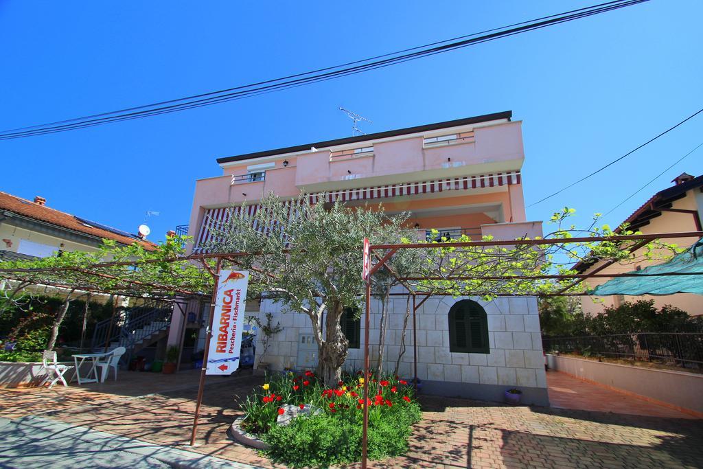 Apartments Miani Novigrad Istria Buitenkant foto